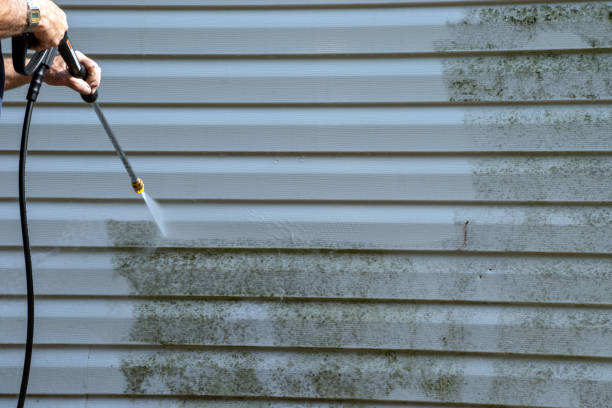 Best Hoarding Cleanup  in Collinsville, OK